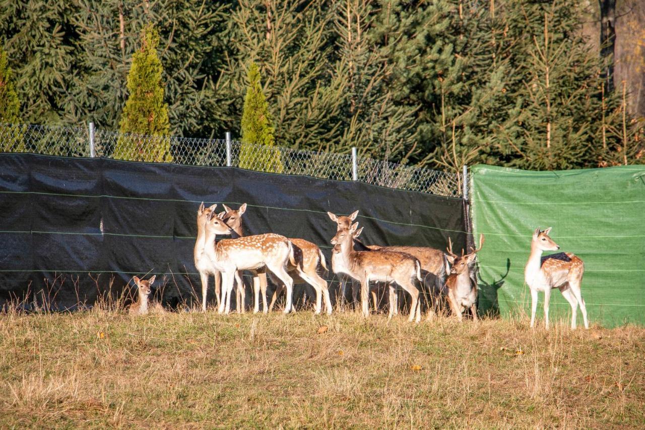Grand Tatry - Miejsce Na Wyjatkowy Pobyt Dla Ciebie I Twojej Rodziny! - Sauna I Jacuzzi Wliczone W Cene Pobytu -10 Minut Pieszo Od Term Bania Bialka Tatrzanska Bagian luar foto