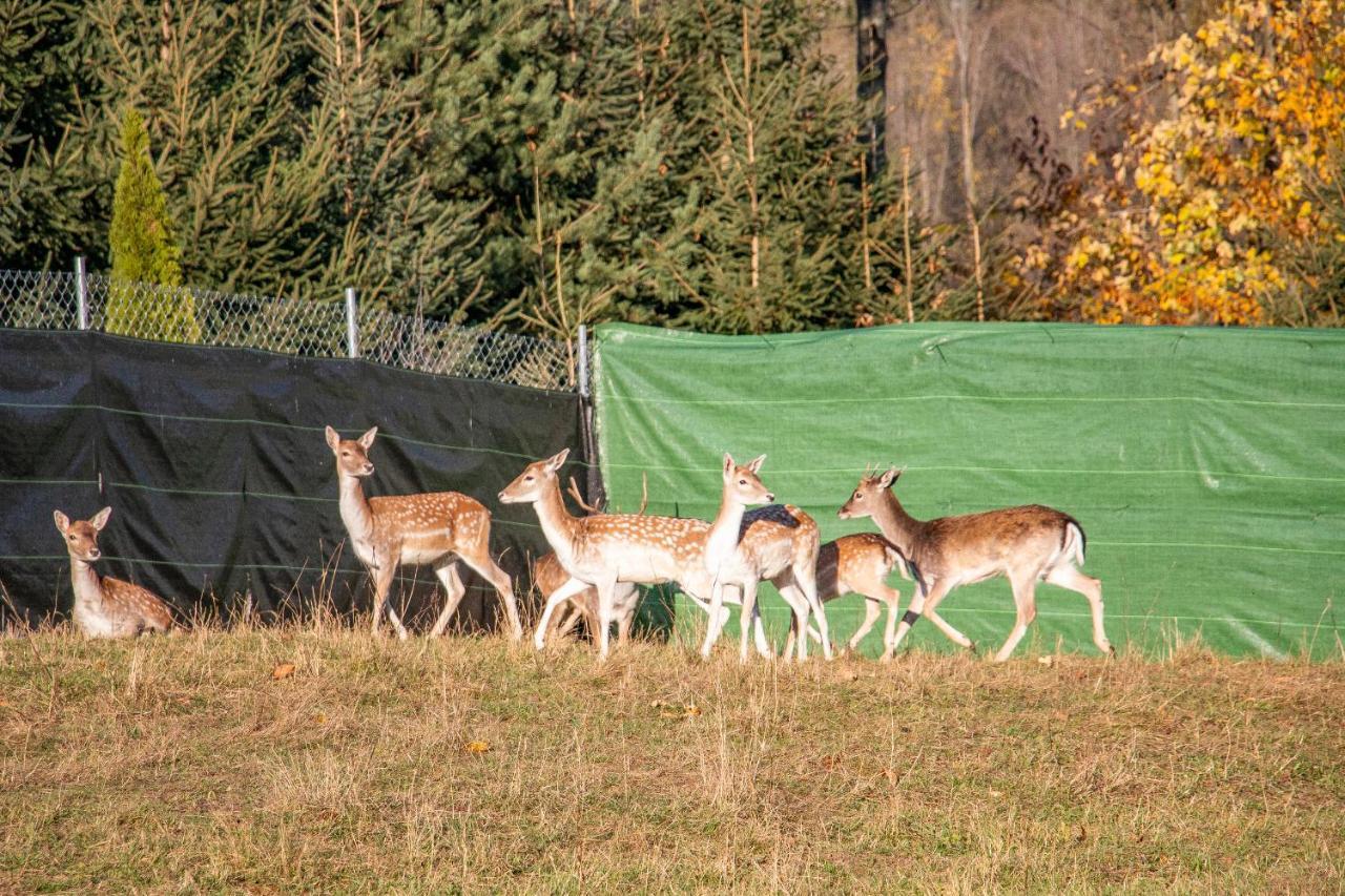 Grand Tatry - Miejsce Na Wyjatkowy Pobyt Dla Ciebie I Twojej Rodziny! - Sauna I Jacuzzi Wliczone W Cene Pobytu -10 Minut Pieszo Od Term Bania Bialka Tatrzanska Bagian luar foto